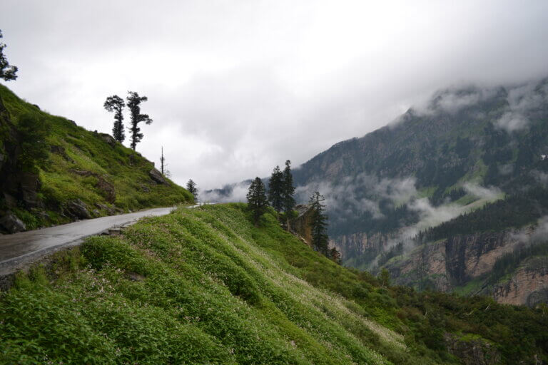 08 Places to visit while you travel in Manali