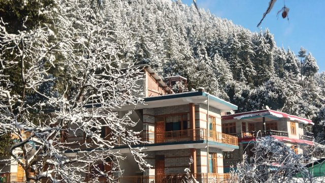 Juniper home