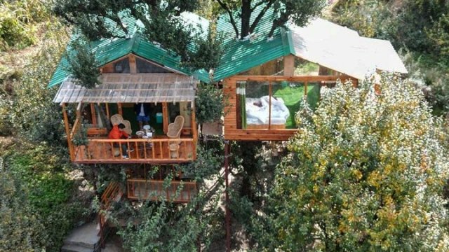 Royal Himalayan Tree House Trvldy (6)
